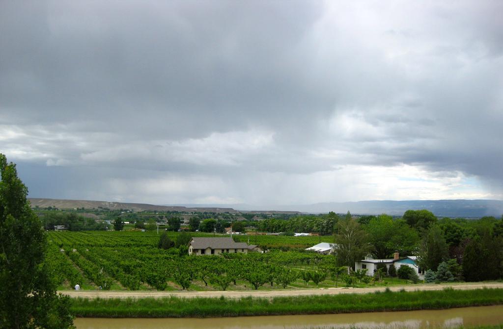 Wine Country Inn Palisade Exteriör bild